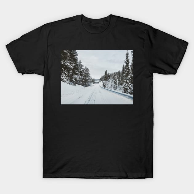 White Winter in Scandinavia - Remote Road Through Fir Tree Forest T-Shirt by visualspectrum